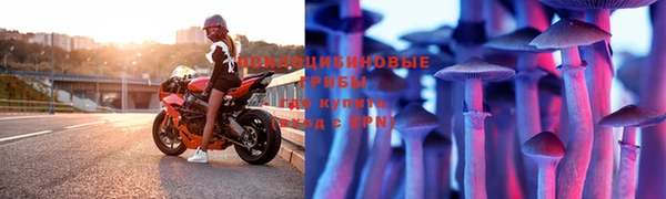 2c-b Абдулино