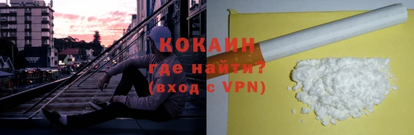 шишки Абинск